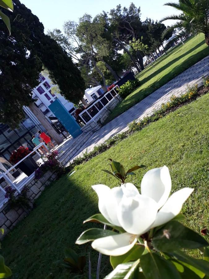 Star With Pool Apartment Biograd Na Moru