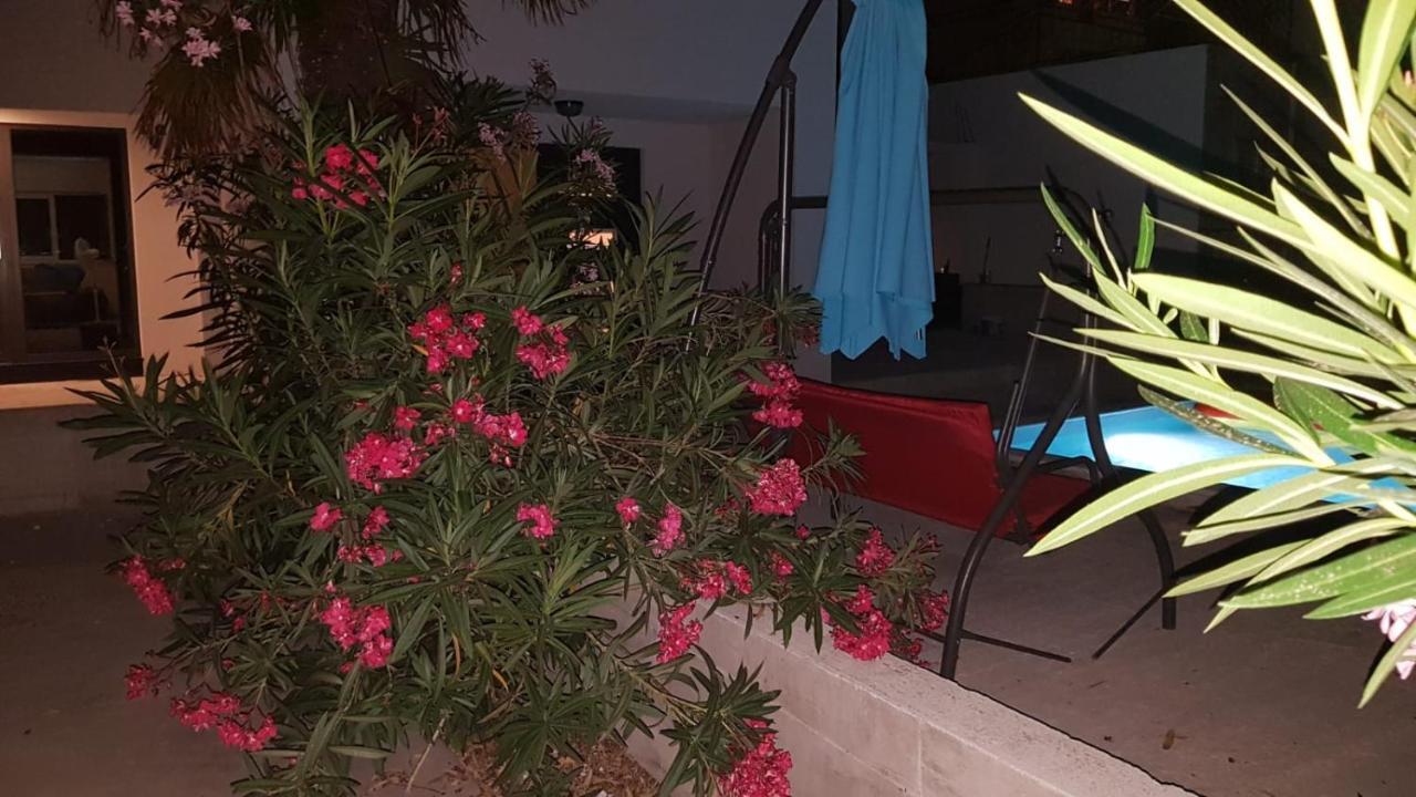 Star With Pool Apartment *