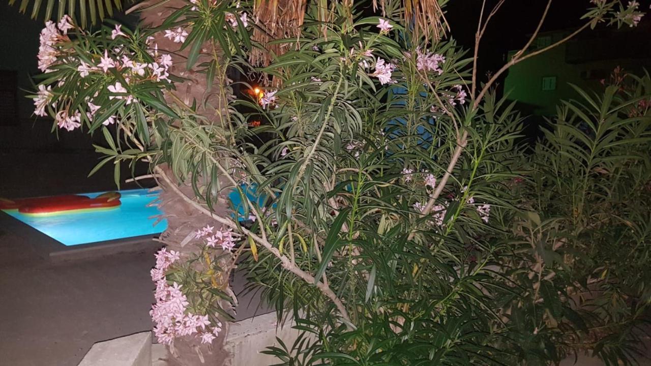 Apartment Star With Pool Biograd Na Moru